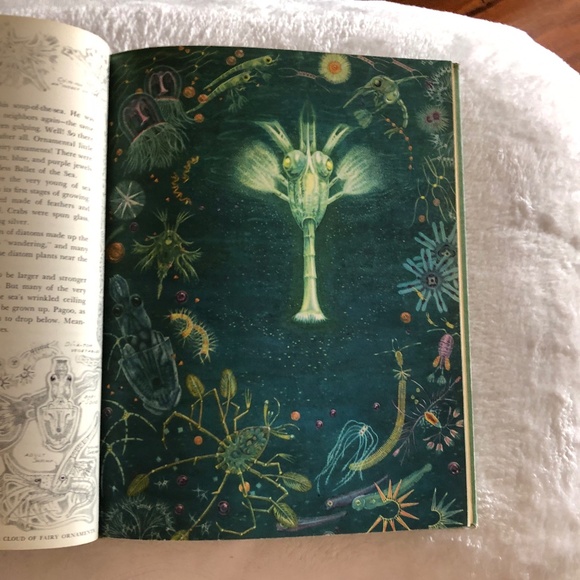 Pagoo by Holling Clancy Holling 1957 Vintage Book - Picture 8 of 13